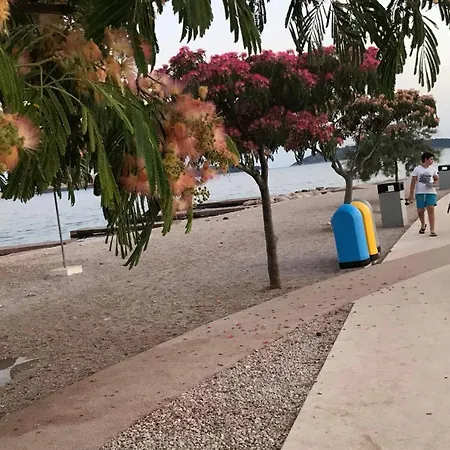 Appartement Belu Brodarica (Sibenik-Knin)