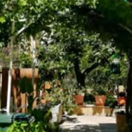 Apartment Belu Brodarica (Sibenik-Knin)