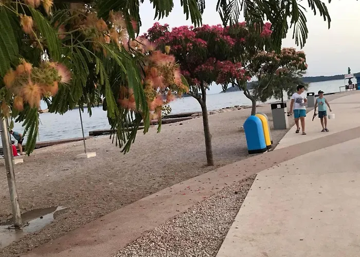 דירה Belu ברודאריצה